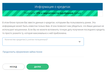 Как оформить онлайн-заявку в компании «Турбозайм»?
